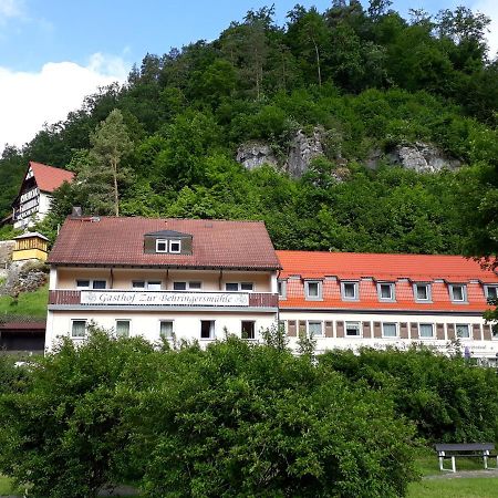 فندق غوسوينستينفي  Gasthof Zur Behringersmuhle المظهر الخارجي الصورة