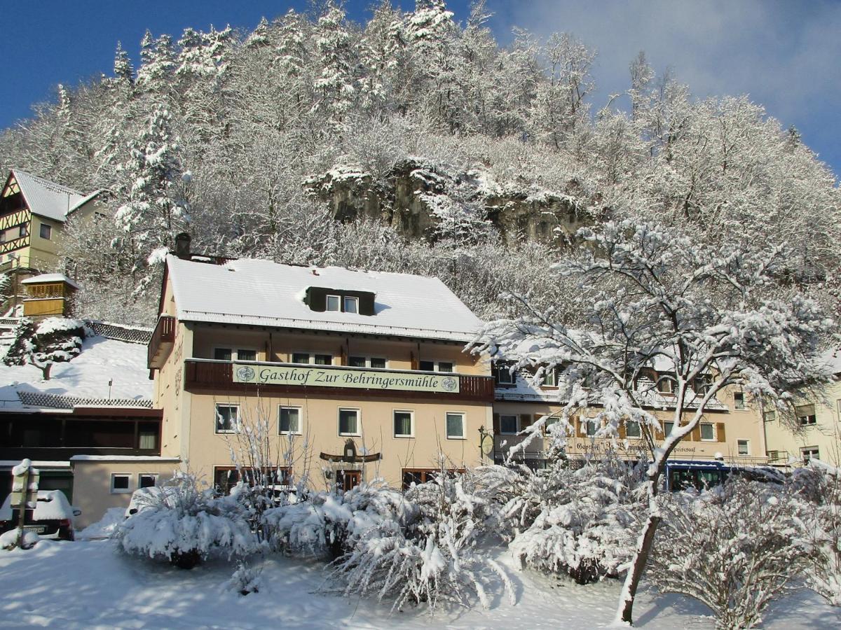 فندق غوسوينستينفي  Gasthof Zur Behringersmuhle المظهر الخارجي الصورة