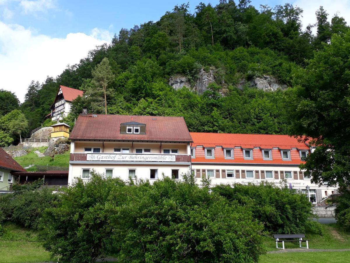 فندق غوسوينستينفي  Gasthof Zur Behringersmuhle المظهر الخارجي الصورة